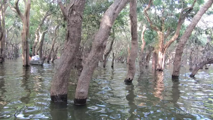 kompong phluk floating village siem reap